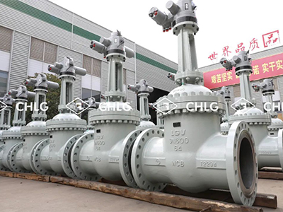 品牌的价值和使命-和记官网集团文化专题纪录片